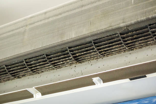 Best Professional Duct Cleaning Services  in Mishicot, WI